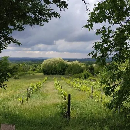 Apartmán Bistricki Mir 1 Petrovac na Mlavi