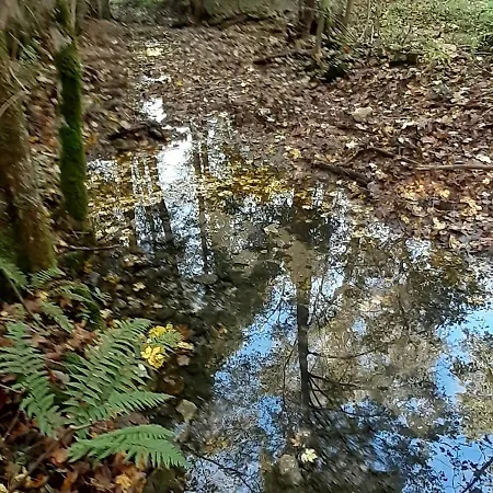 Bistricki Mir 1 Apartmán