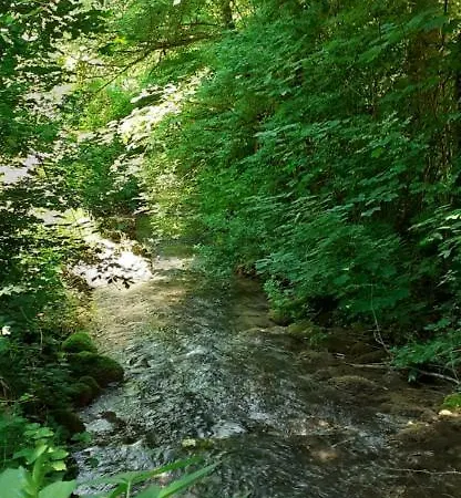 Bistricki Mir 1 * Petrovac na Mlavi