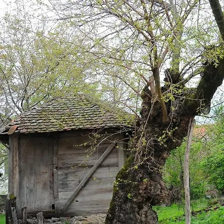 Bistricki Mir 1 * Petrovac na Mlavi