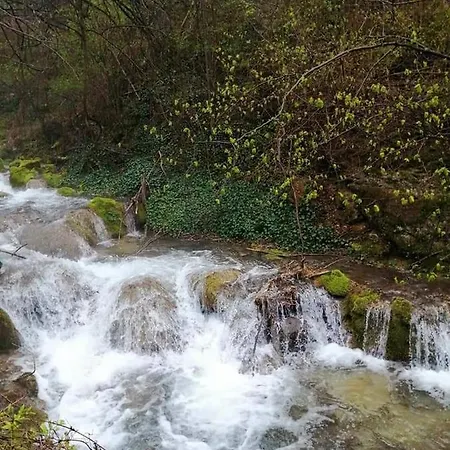 Bistricki Mir 1 * Petrovac na Mlavi