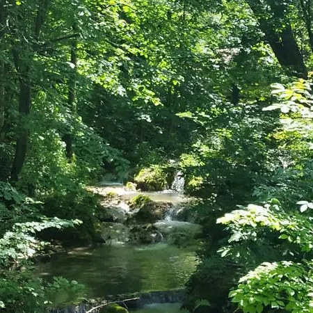 Bistricki Mir 1 * Petrovac na Mlavi