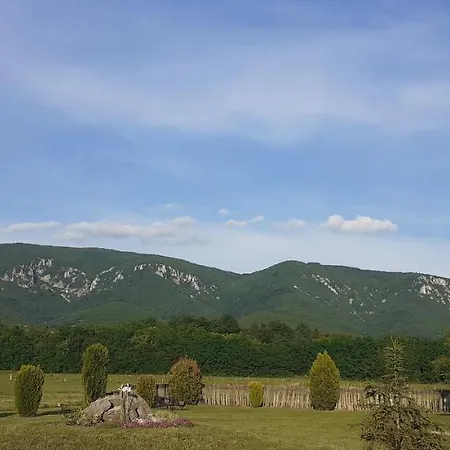 Bistricki Mir 1 Apartmán Petrovac na Mlavi