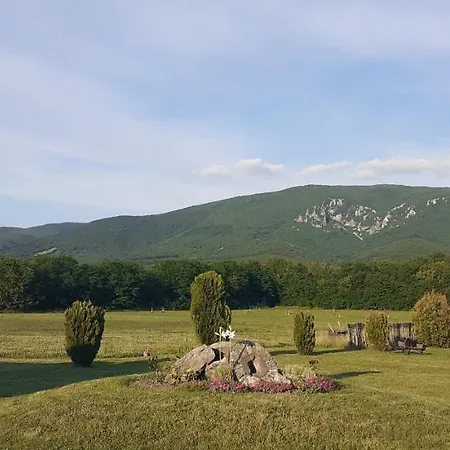 Bistricki Mir 1 Petrovac na Mlavi