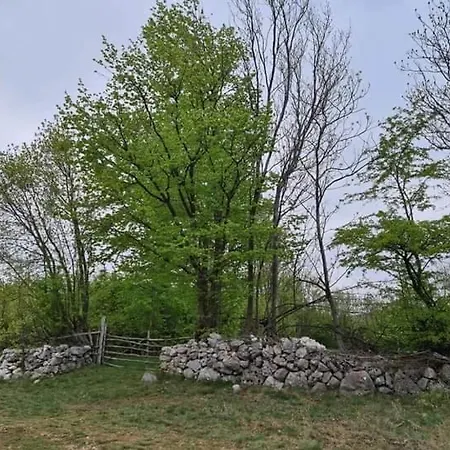 Bistricki Mir 1 Apartmán *