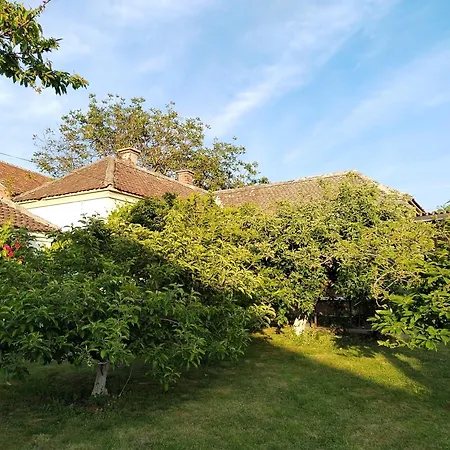 Bistricki Mir 1 Petrovac na Mlavi