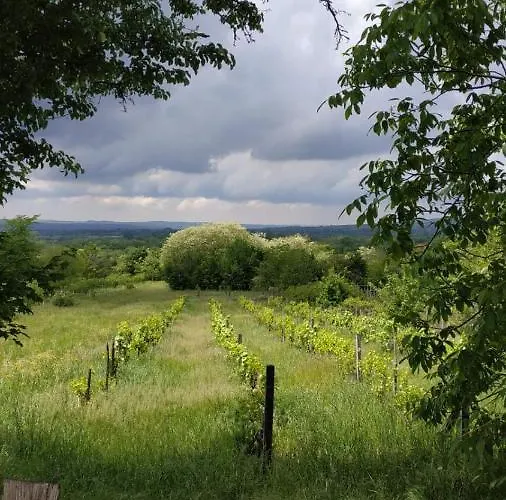 公寓 Bistricki Mir 1 彼得罗瓦茨纳米拉维