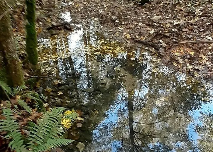 Bistricki Mir 1 公寓