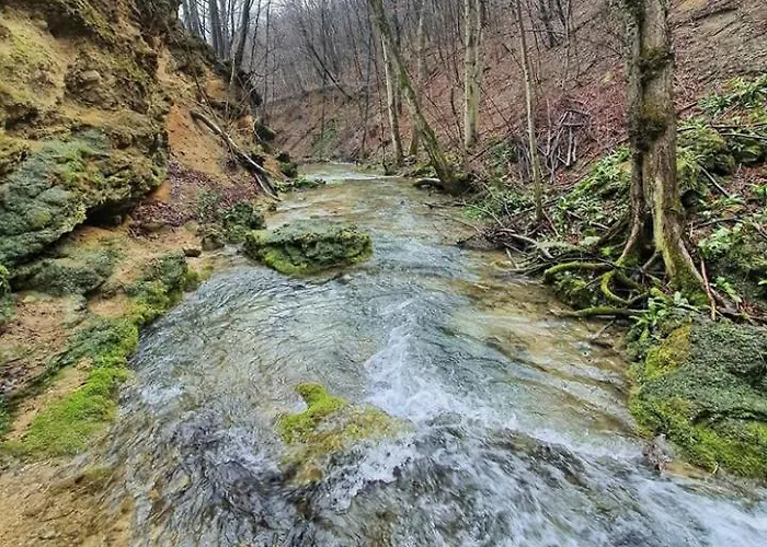 Bistricki Mir 1 彼得罗瓦茨纳米拉维