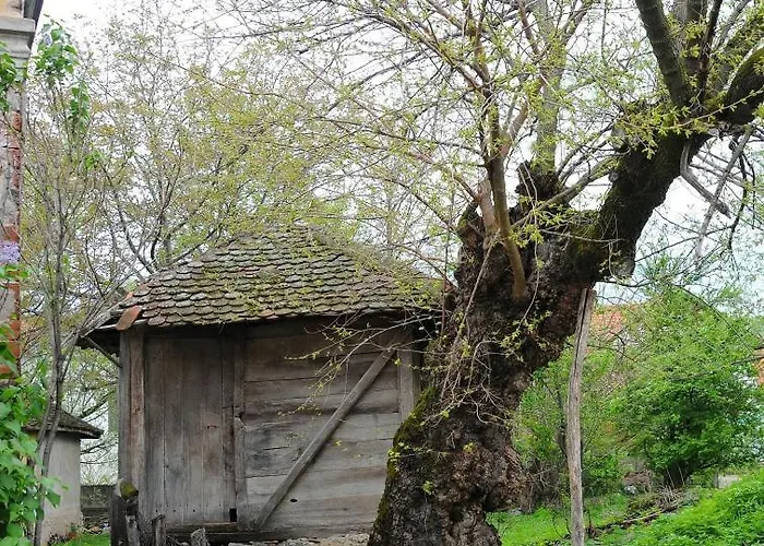 Bistricki Mir 1 * 彼得罗瓦茨纳米拉维