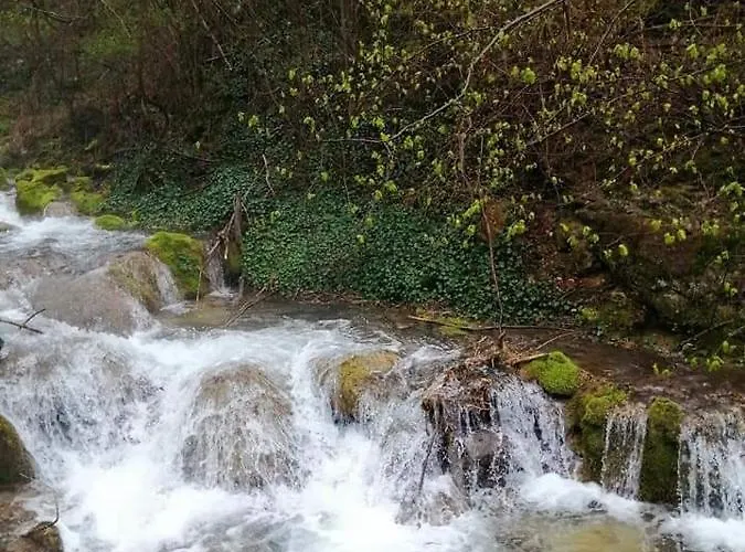 Bistricki Mir 1 * 彼得罗瓦茨纳米拉维