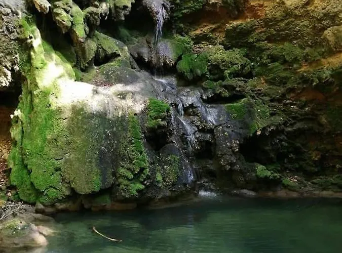 Bistricki Mir 1 公寓 彼得罗瓦茨纳米拉维