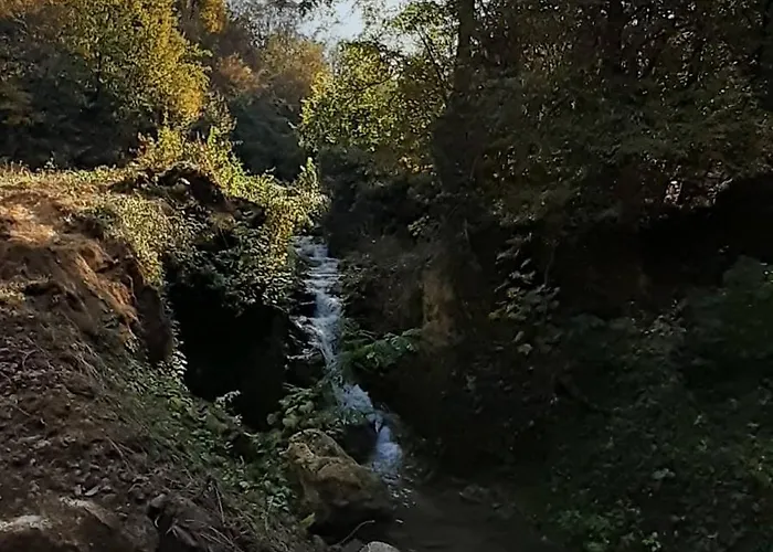 Bistricki Mir 1 公寓 彼得罗瓦茨纳米拉维