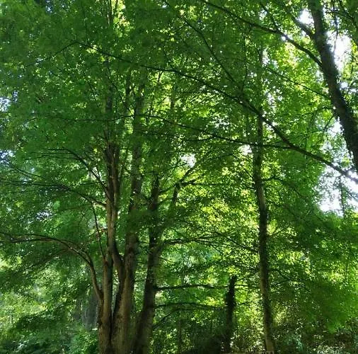 Bistricki Mir 1 * 彼得罗瓦茨纳米拉维