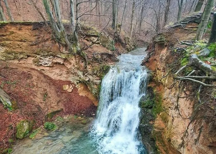 公寓 Bistricki Mir 1