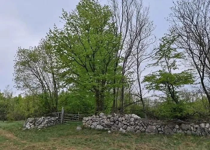 Bistricki Mir 1 公寓 *