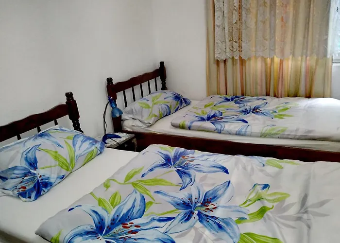 公寓 Bistricki Mir 1 *