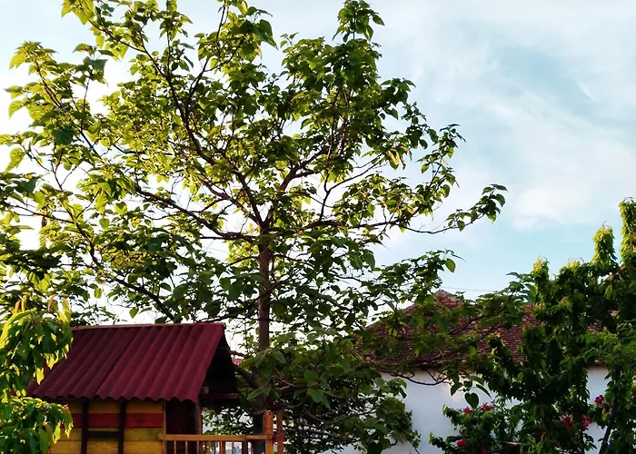 公寓 Bistricki Mir 1